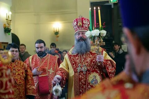 Служба владыки