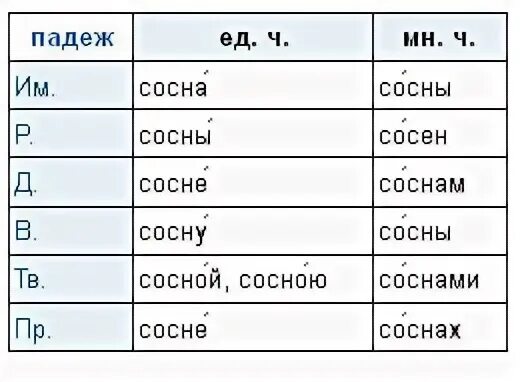 Выделить окончание в слове сосна. Просклонять сосна. Сосны на склоне. Просклонять слово сосна по падежам. Склонение слова сосна.