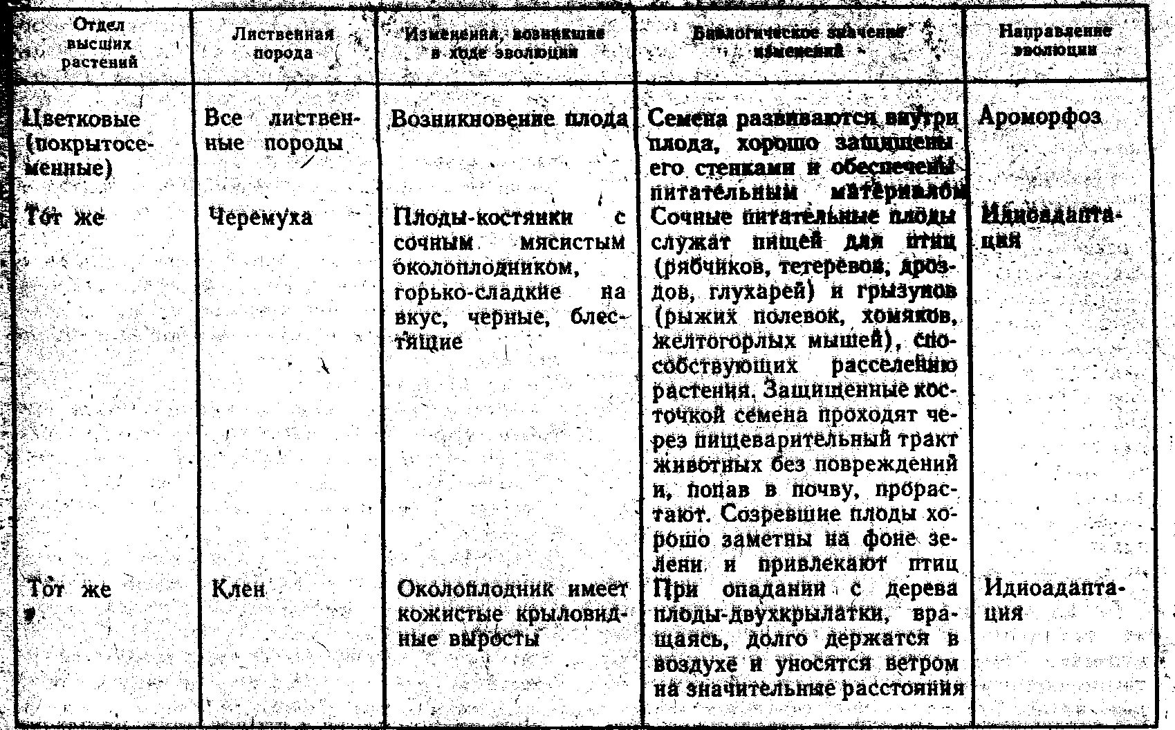 Появление относительного характера приспособленности. Лабораторная работа ароморфозы у растений. Ароморфозы растений и животных. Ароморфозы растений и животных таблица. Выявление идиоадаптаций у растений таблица.