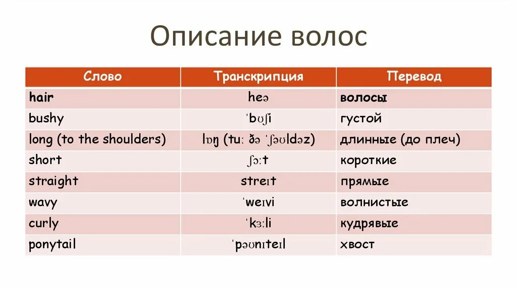 Седьмой по английски. Телосложение на английском языке. Типы тела на английском. Описание Телосложение по английски. Слова для описания.