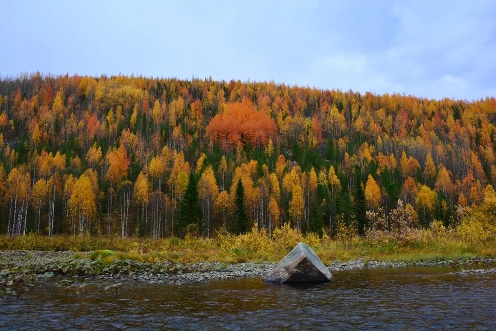 Природные особенности северного урала. Природа Северного Урала. Реки Северного Урала. Прибалтика и Северный Урал. Урал на севере.