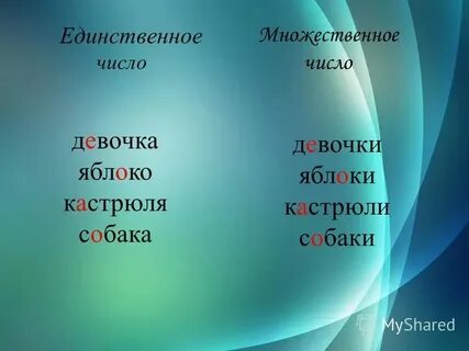 Ставни в множественном