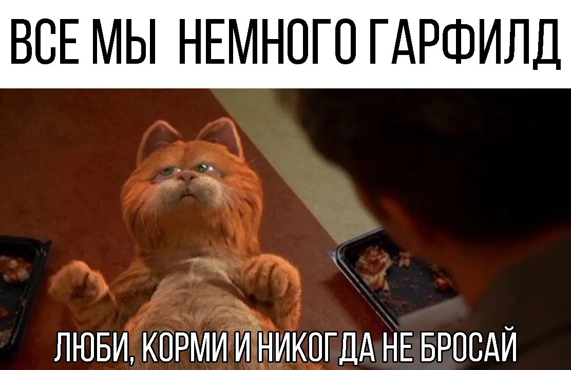 Гарфилд пёс оди. Люби корми и никогда не бросай гарфилд. Гарфилд переводчик. Кот гарфилд. Гарфилд лизни мое очко.