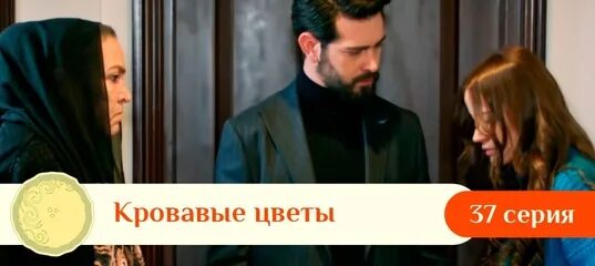 Кровавые цветы 369 русский озвучкой. Кровавые цветы 369 русский озвучкой. Кровавые цветы 369 русский озвучкой. Кровавые цветы 369 русский озвучкой. Кровавые цветы 369 русский озвучкой.
