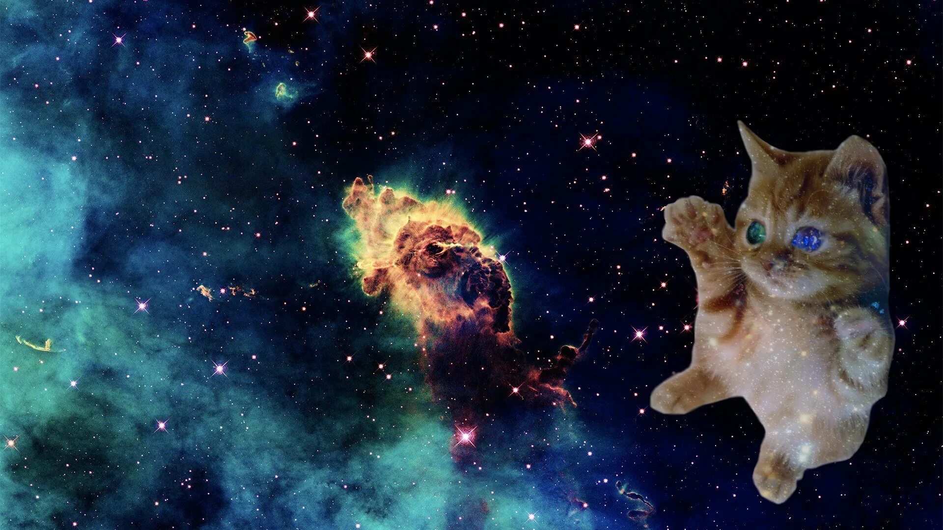 Неоновая кошка. Кот в космосе. Кот гагарин. Звездный кот. Космо кот.