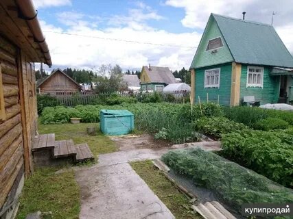 Морово сыктывдинского