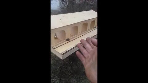 Яйцесборник для несушек своими руками