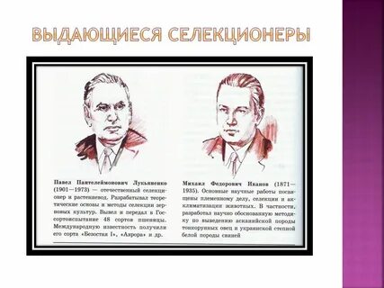 Вклад в селекцию