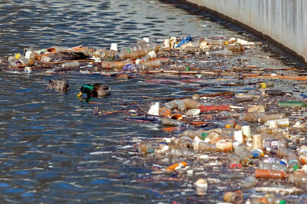 Загрязненные озера и реки. Загрязнение воды. Загрязнение водоемов. Загрязнение воды мусором.
