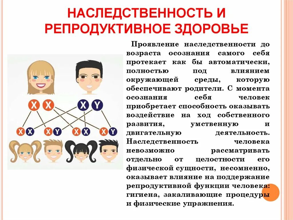 Наследственность и репродуктивное здоровье. Репродуктивное здоровье человека. Наследственность человека. Наследственность рисунок для презентации. Наследственные факторы определяют