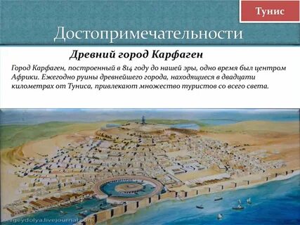 В том числе карфагена