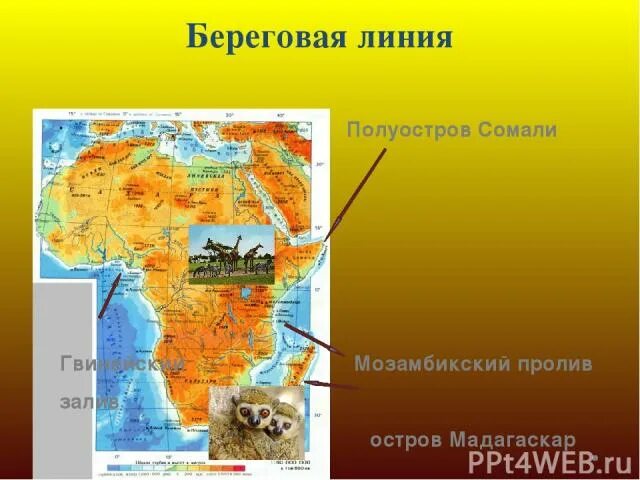 Положение африки относительно заливов проливов. Полуостров сомали на карте африки. полуостров сомали и остров мадагаскар. береговая линия полуострова сомали. африка полуостров сомали.