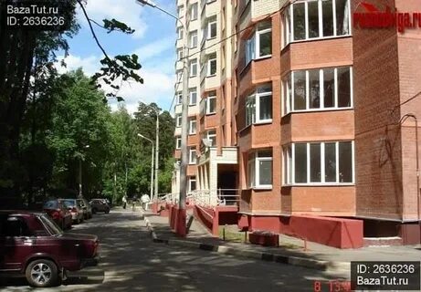 Пушкино оранжерейная