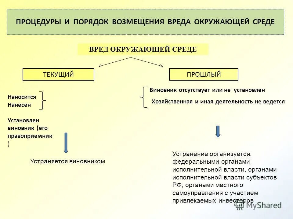 Возмещение вреда причиненного окружающей природной среде. Возмещение ущерба схема. Порядок возмещения причиненного вреда. Процедура возмещения ущерба. Причинение экологического вреда