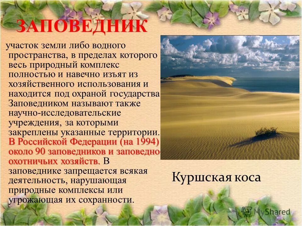 Особо охраняемые природные территории заповедники. Охрана заповедника как называется. Охрана заповедника как называется. Какая деятельность запрещается в заповедниках?. Охрана заповедника как называется.