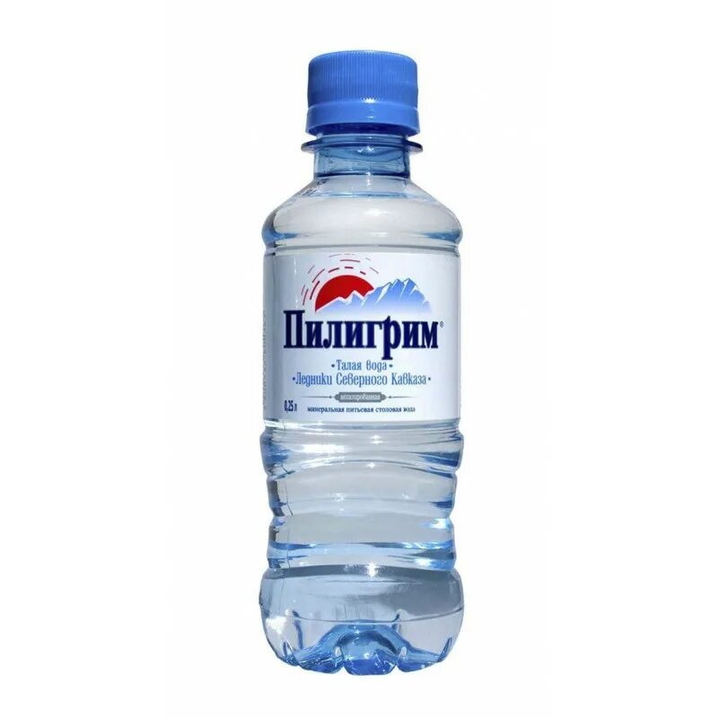 Вода Пилигрим питьевая 0.25л. Вода негазированная Пилигрим 0.5. Пилигрим б/ГАЗ ПЭТ 0,25. Пилигрим вода 0.33.