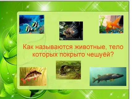 Как назывались обитатели