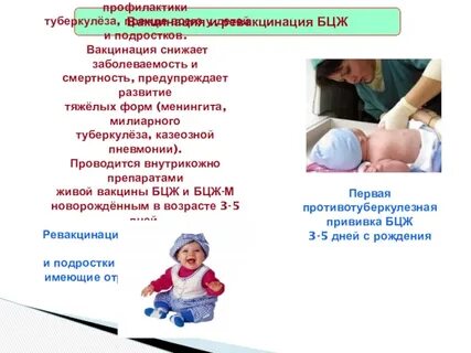 Бцж туберкулез у ребенка