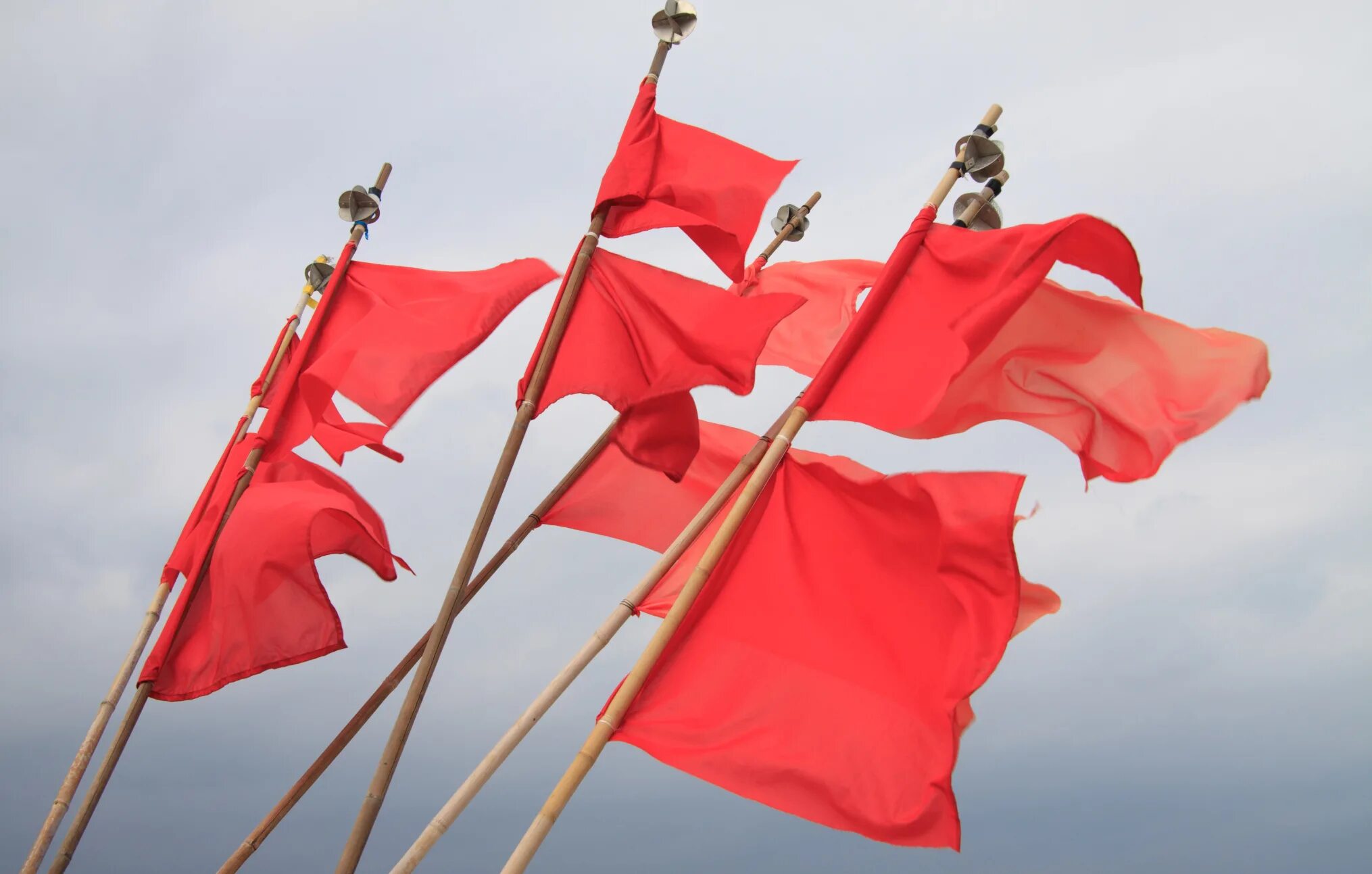 Red flags кавер