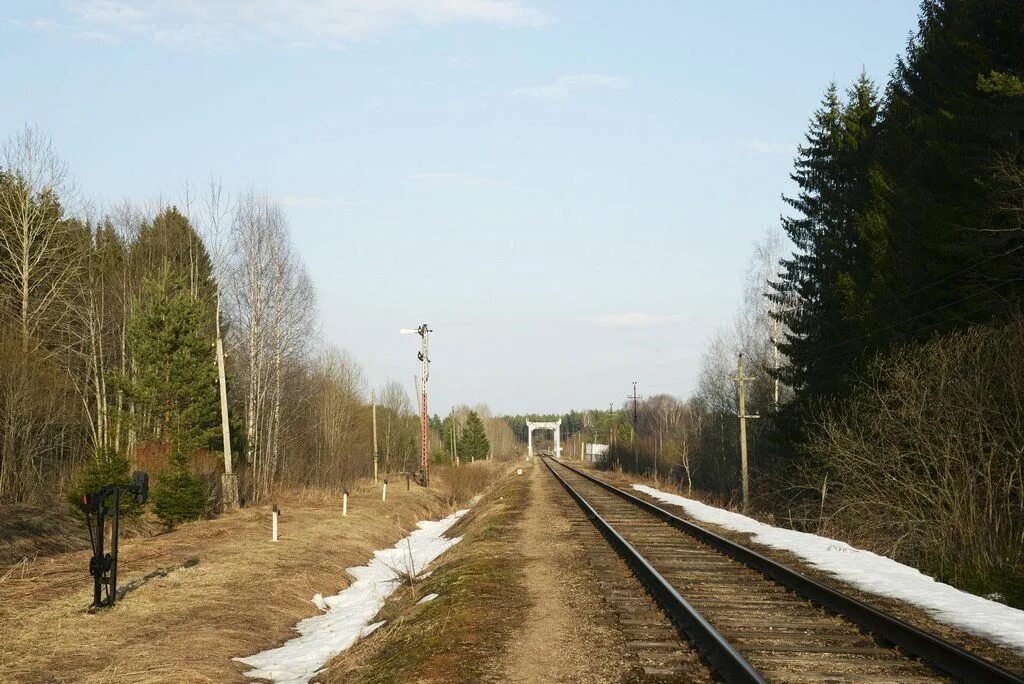 погода в селижарово