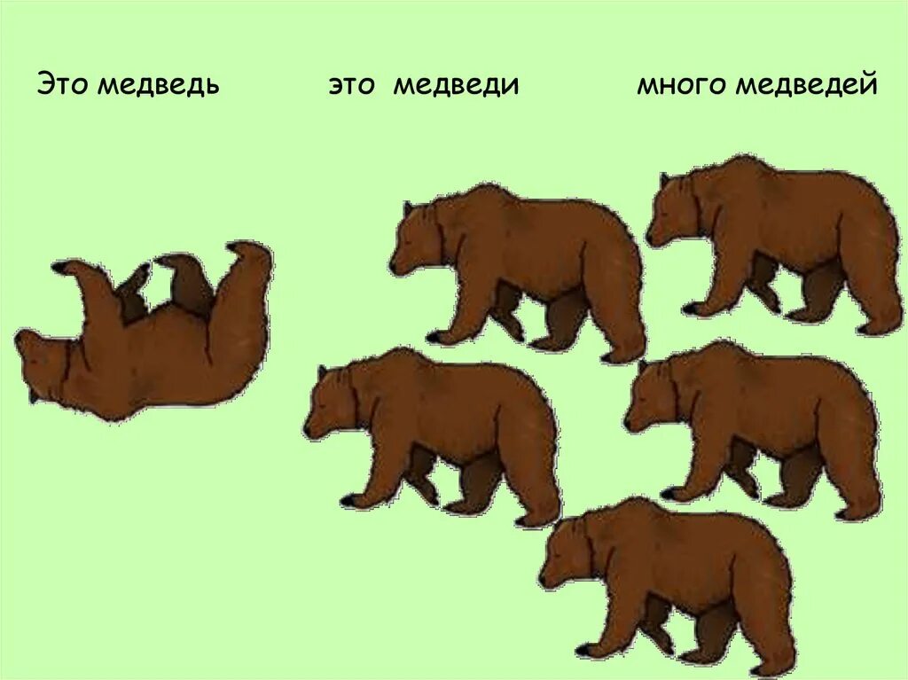 Эмблема медведь. Bearbrick lego. Бтр медведь. Медведь вариант 3. Голова медведя из фанеры.