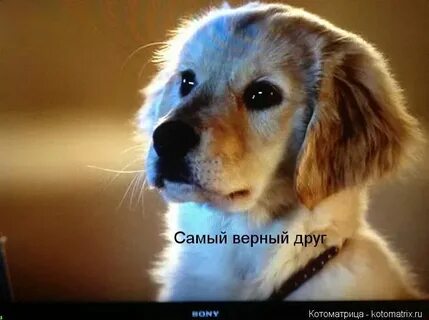 Я тебе не верю 4