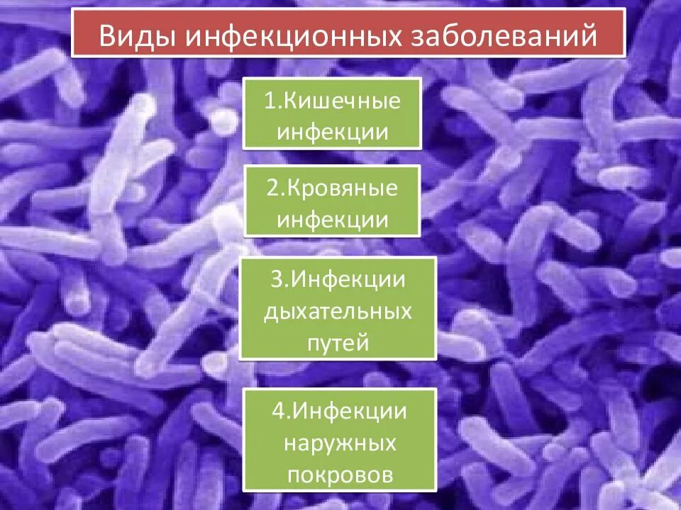 Заразные инфекционные заболевания. Виды инфекционных заболеваний. Виды инфекционныхьзаболеваний. Виды инфекционной заболеваемости. Кишечные инфекции примеры заболеваний.