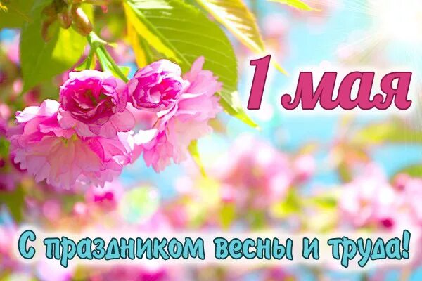 С праздником весны и труда 1 мая картинки с надписями. Надпись с первым мая. 1 Мая картинки с надписью день труда. Майские праздники надпись фото. 1 мая 32