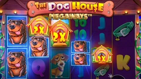 The dog house megaways