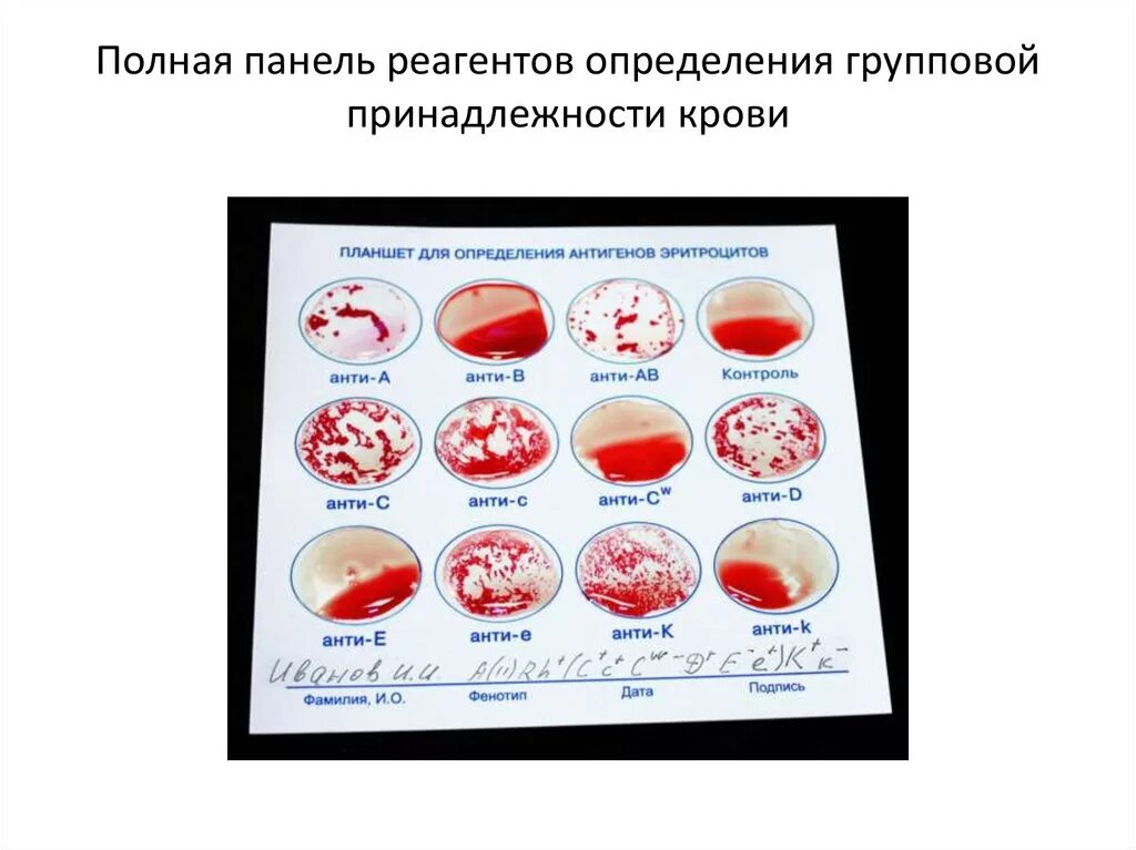 Установление групповой принадлежности. Критерии отнесения предмета к категории огнестрельного оружия. Групповая принадлежность определяется. Понятие и виды установления групповой принадлежности. Групповая принадлежность определяется.