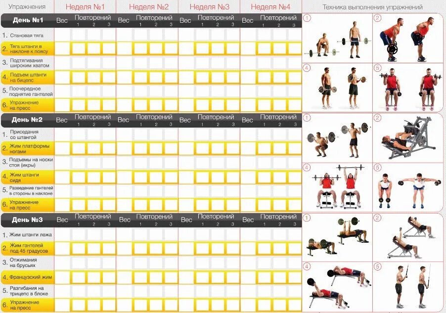 Качалка подходы. Качалка подходы. Тренировочный план в тренажерном зале. Упражнения на плечи в тренажерном зале для мужчин на массу. План тренировок для набора мышечной массы для мужчин дома.