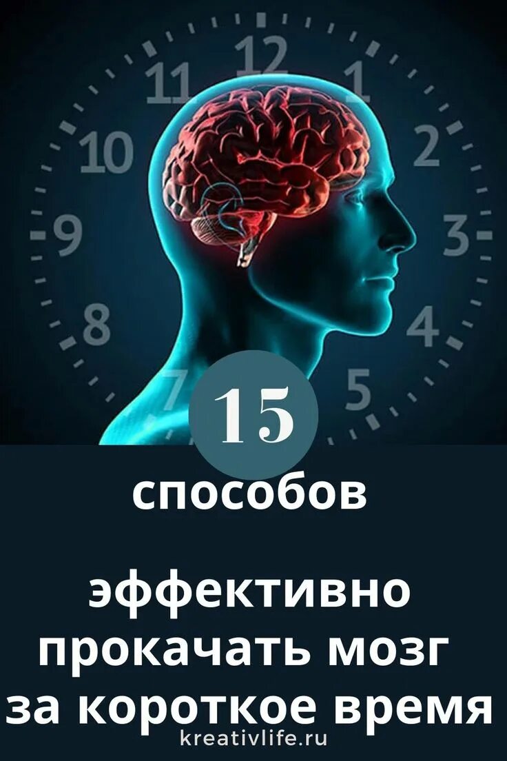 Мозг память. Прокачай мозг. Мозг психология. Мозг и время.