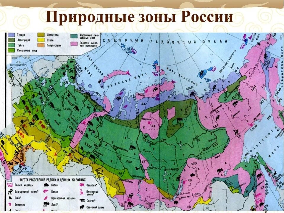 Распределение природных зон. Географическая карта россии с природными зонами. карта природных зон россии 4 класс. природные зоны россии на карте с названиями. карта природных зон росси 8кл.