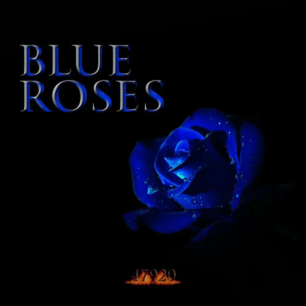 Blue rose песня. Синие розы и луна. Jazz&garage. Blue rose песня. Музыка синий.