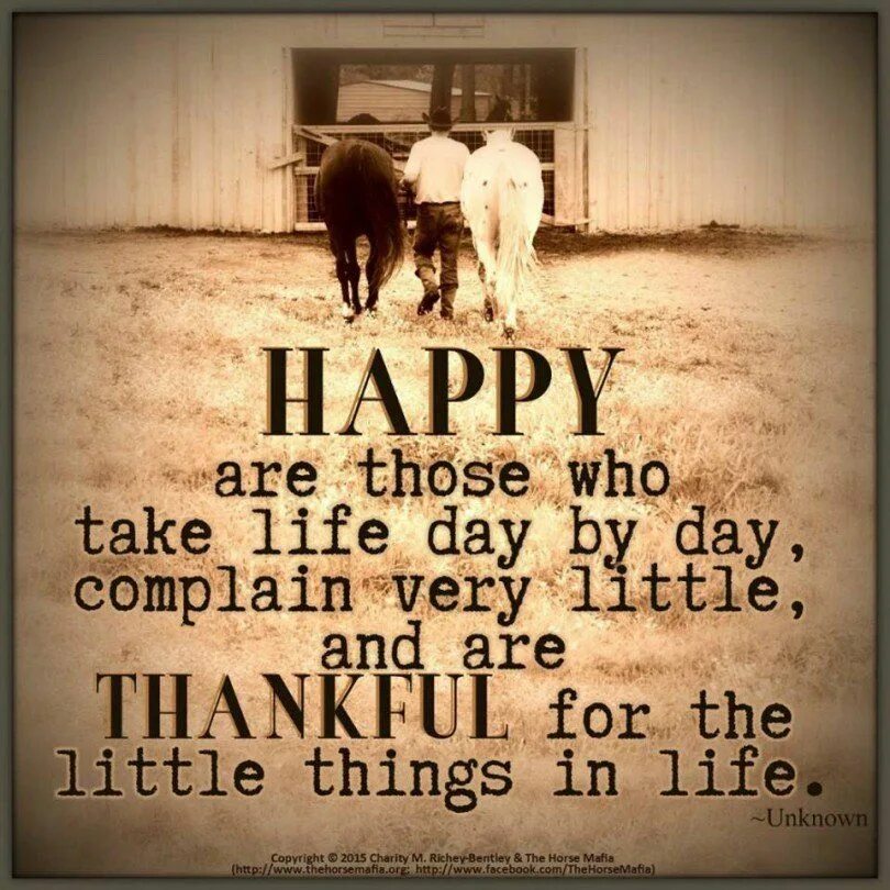 Whoever перевод. Happiness is in the little things. Happiness is in the little things quotes. Little quotes. Love the little things in Life.