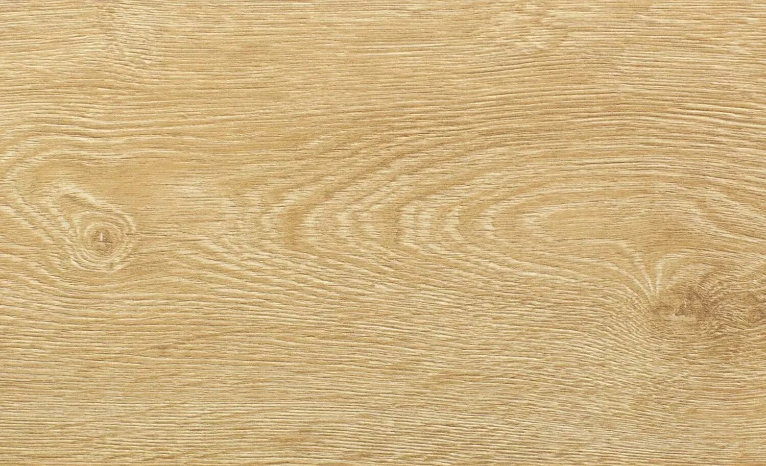 Natural oak. Шпон абачи "дуб 607 SM". Фактура дерева. Дуб древесина. Светлое дерево текстура.