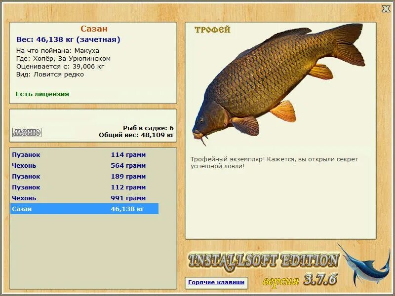 Возраст и вес сазана. Сазан масса. Сазан возраст и размер. Сазан размеры. Сазан размеры и вес.