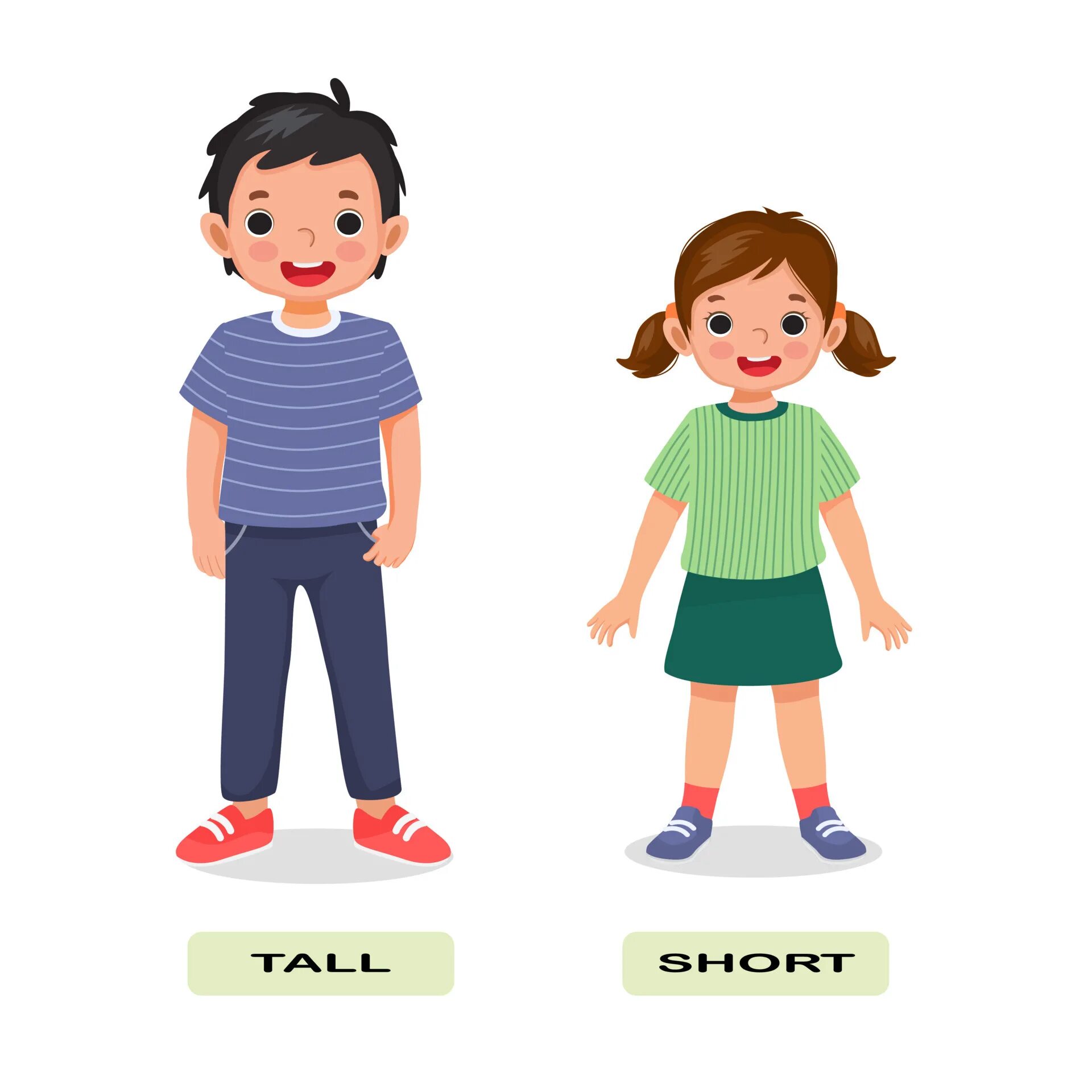 Tall short slim. Tall short картинки для детей. tall short рисунок. opposites картинки для детей. opposite of tall.