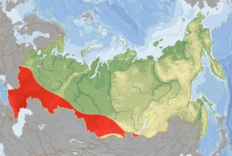 Ареалы ландшафтов