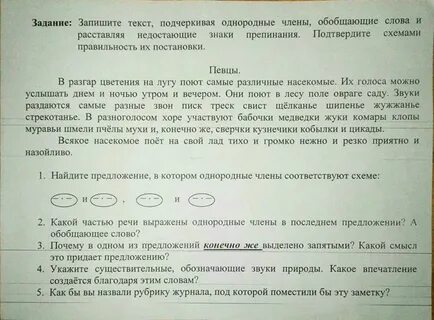 Диктант летом мы ходим из деревни