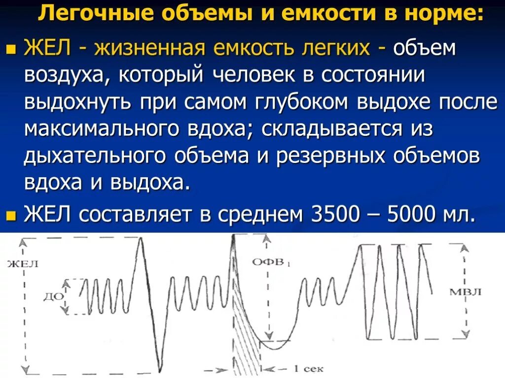 Достаточный объем легких. Объемы легких и емкости. схема легочных объемов. объем жизненной емкости легких. легочные объемы и емкости легких.