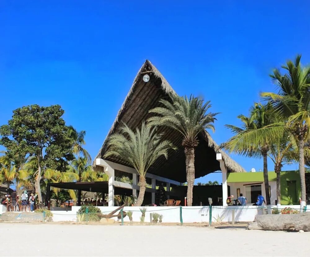 Остров коче венесуэла. Paradise beach surf венесуэла. Остров коче венесуэла. Coche paradise 4 венесуэла. Венесуэла отзывы туристов.