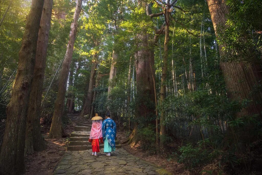 Тропа пилигримов кумано-кодо. Священные тропы. Туристический комплекс солнечная поляна хвалынск. Повелитель водопада. Испания путь сантьяго де компостела.