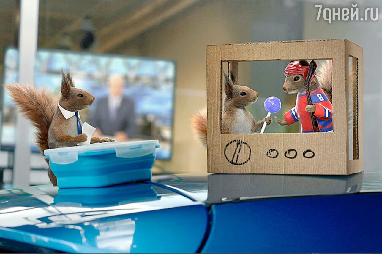 рекламные ролики 1 канала. белочки с первого канала. рекламные ролики сша. лента реклама 2020. 03.