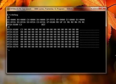 Debug command