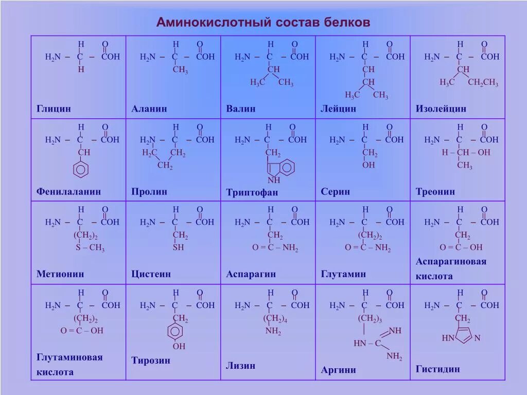 Количество белковых аминокислот. Строение 20 аминокислот. Альфа аминокислоты входящие в состав белков. 20 Альфа аминокислот. Таблица 20 аминокислот химия.