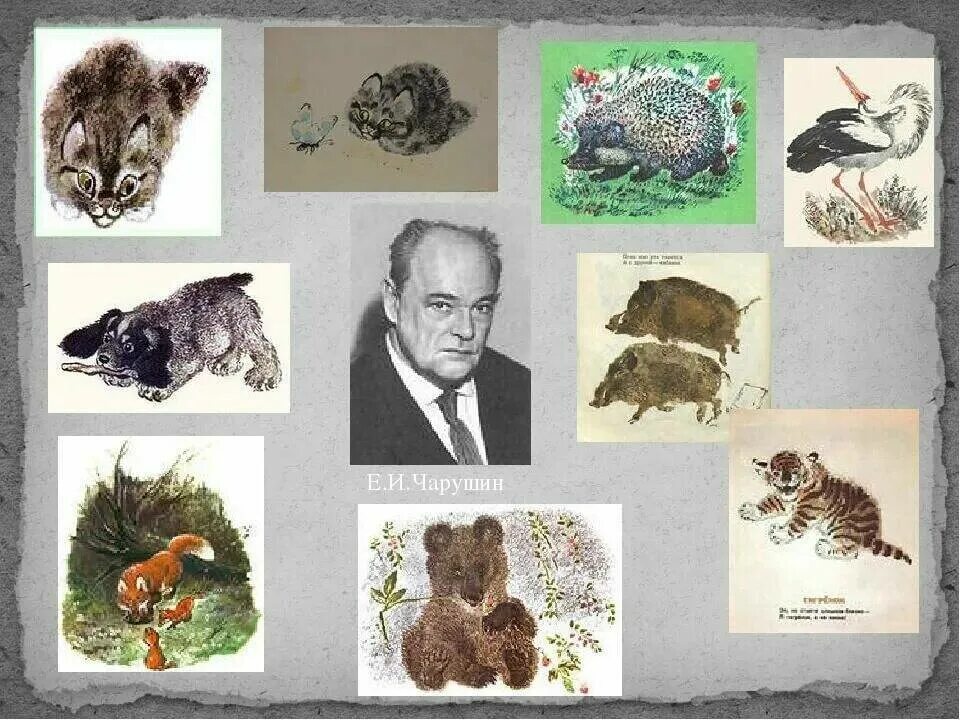 е. е чарушин художник иллюстратор. иллюстрации к произведениям чарушина для детей. чарушин. творчество е.