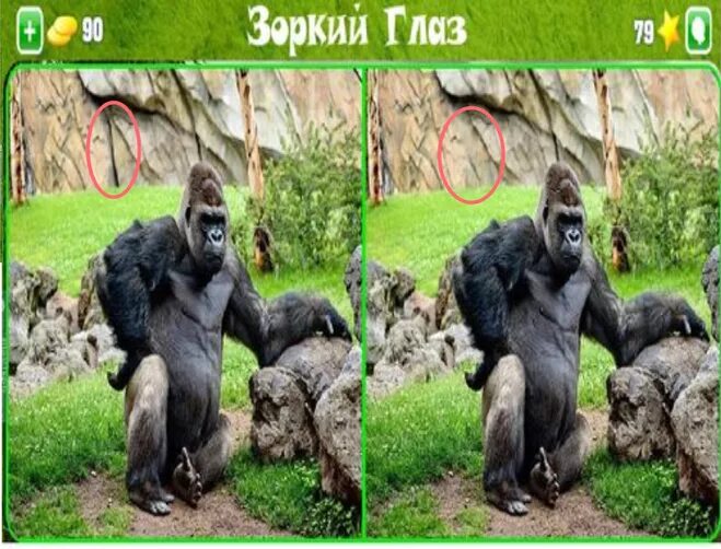 На третий день зоркий глаз. Анекдот про индейские имена. Зоркий глаз уровень 158. Тропа индейцев. Афоризмы про зоркий глаз.