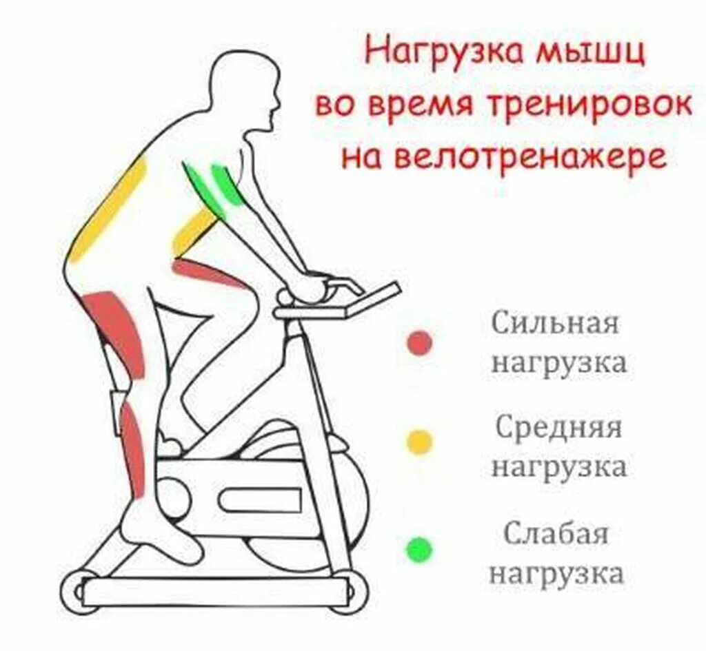 Какие мышцы качаются на велотренажере. Велотренажер какие группы мышц задействованы. Какие мышцы качаются при работе на велотренажере. Велотренажер группы мышц.