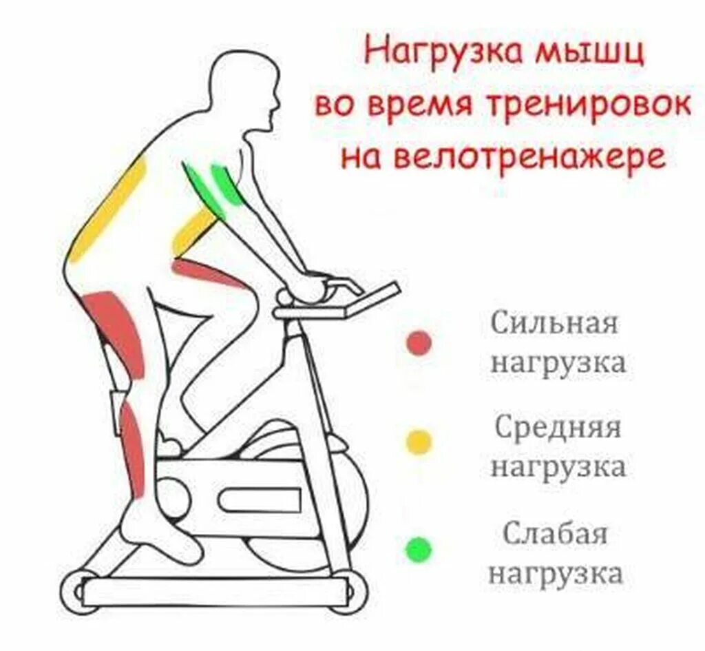 Велотренажер польза для мужчин